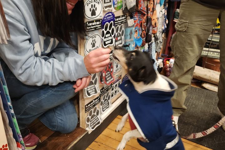 a group of people in a store