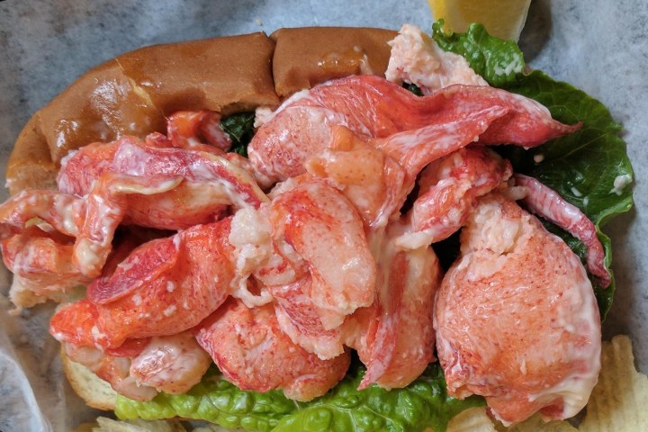Lobster roll