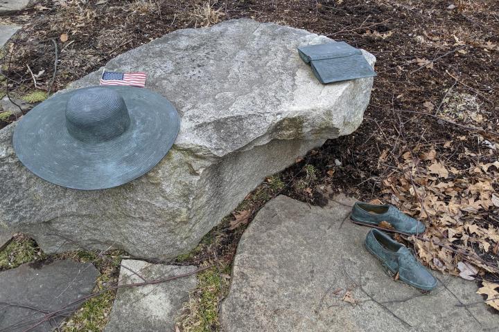 a bird sitting on a rock