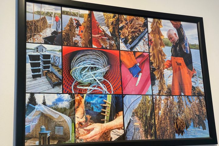 a screen shot of a video game