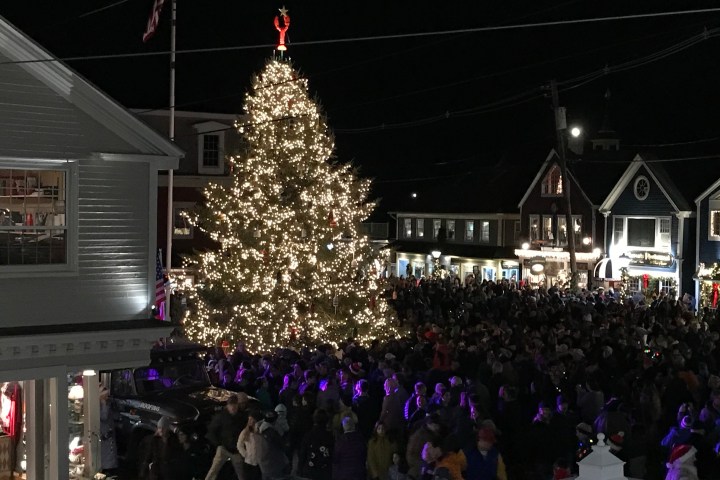 a group of people watching a band on stage in front of a crowd