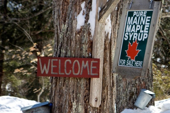 a sign on a pole in the snow