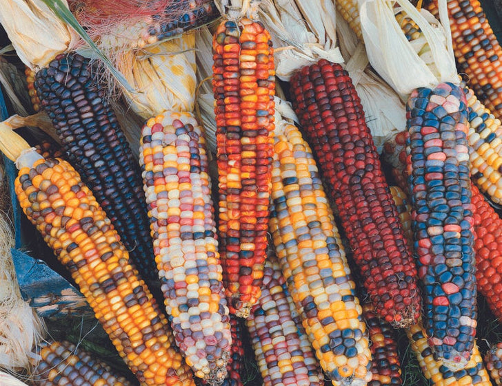 a close up of many different vegetables on display